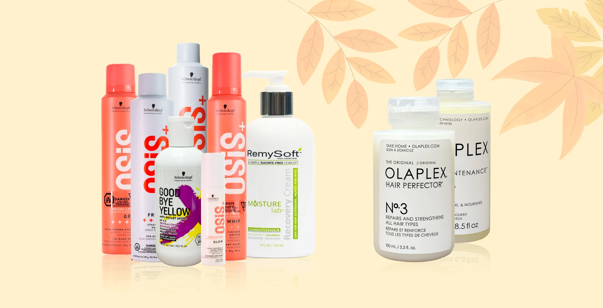Haircare products for your Hairsystem